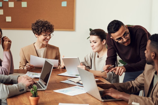 Using Stakeholder Analysis in Software Project Management